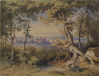 Aschaffenburg by Constantin Samhaber